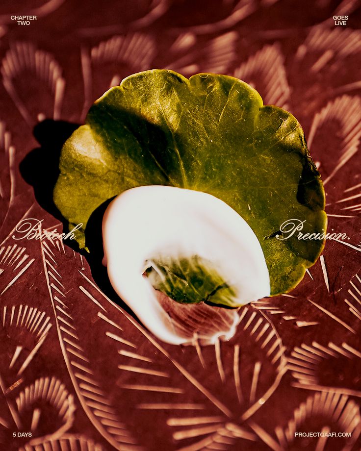 The Project Qaafi  Hand Cream